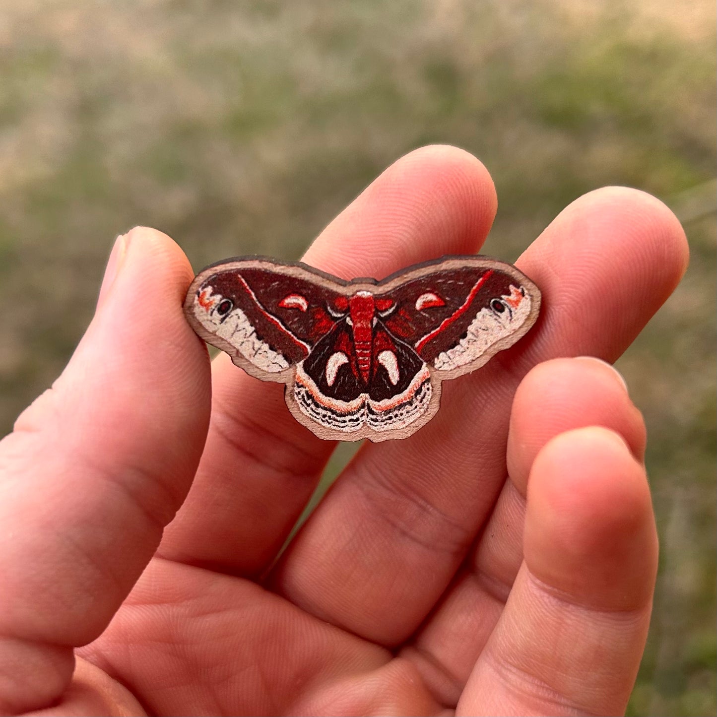 Cecropia Moth Pin