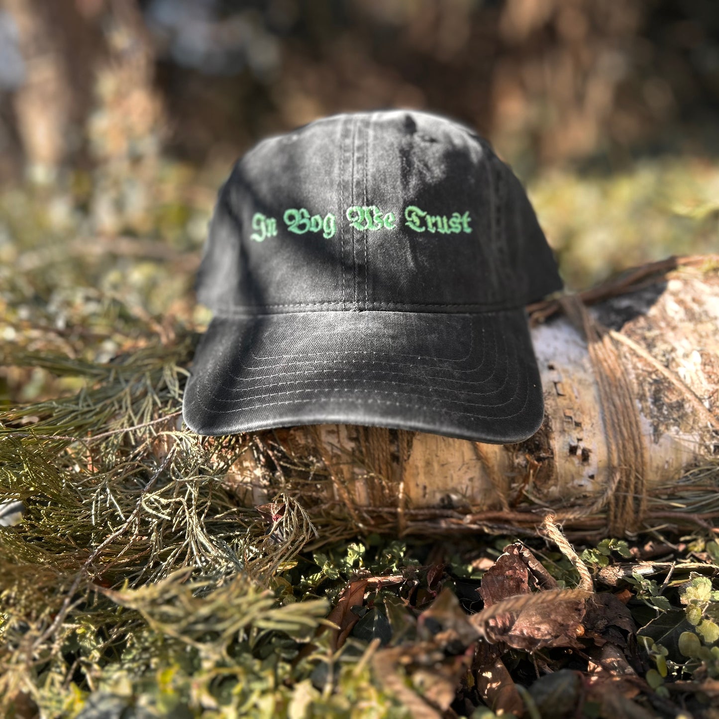 In Bog We Trust Dad Hat