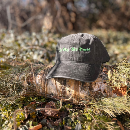 In Bog We Trust Dad Hat